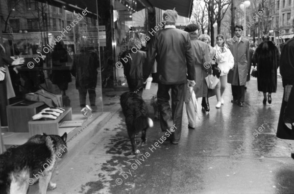 Image of sheet 19880270 photo 28: frstg. 880260        Damen plaisieren vor Schaufenster Damen unter Regenschirmen. Mann mit USA auf dem Rücken. Herren mit Hundchen. gefolgt von einem Hund. in Pelzmäntel an der Zürcher Bahnhofstrasse. Zürich 1988