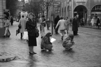 Image of sheet 19880280 photo 2: frtsg. 880270 Am Paradeplatz zeichnen junge Mädchen. zwei alte Damen. Jetzt weniger Autofahren und Heizen. Kampagne gegen schlechte Luft der Stadt Zürich. Mann hält sich Nase zu. Mann mit Helm und Leder Kombi holt sich am Bancomat Geld ab. Mann und Frau mit Kind in Babykorb. Nonne steht daneben. Mercedes Benz fährt durch die Strasse. Häuser spiegeln sich in Fenster. Orthodoxer jüdischer Jude Mann auf Moped studiert die Börsenkurse. Passanten Bankeingang. UBS Junge Frau an VBZ Haltestelle macht ein komisches Gesicht. Frauen und Strassenbahn. Bahnhofstrasse Zürich 1988