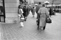 Image of sheet 19880300 photo 1: frtsg. 880290 Pelzmäntel. Geschäftsmann ruht sich aus. Dame in Bewegung. Damen mit Hund. Bei Sprüngli fotografiert ein Tourist mit dickem Bauch Damen vor Reisebüro SBB- Strassenbahn Tram Dame kokettiert. Bewegungen mit Auto. Verkehrs Polizei gibt Busse. Vor Gübelin. Im Regen rennen die Leute über den Paradeplatz. Die Strassenbahn hält. Bahnhofstrasse Zürich 1988