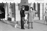 Image of sheet 19880300 photo 8: frtsg. 880290 Pelzmäntel. Geschäftsmann ruht sich aus. Dame in Bewegung. Damen mit Hund. Bei Sprüngli fotografiert ein Tourist mit dickem Bauch Damen vor Reisebüro SBB- Strassenbahn Tram Dame kokettiert. Bewegungen mit Auto. Verkehrs Polizei gibt Busse. Vor Gübelin. Im Regen rennen die Leute über den Paradeplatz. Die Strassenbahn hält. Bahnhofstrasse Zürich 1988
