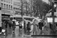 Image of sheet 19880310 photo 21: frtsg. 880300 Bewegung auf dem Paradeplatz an der Zürcher Bahnhofstrasse, es regnet die Menschen rennen gestresst durch den Regen. Unter dem Regenschirm einstellen von täglichem Schadstoffpegel. Unter Regenschirmen Bewegung. Mit Strassenbahn PassantInnen. Zwei Knaben in Strassenbahn. Tram Zürich 1988