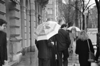 Image of sheet 19880310 photo 25: frtsg. 880300 Bewegung auf dem Paradeplatz an der Zürcher Bahnhofstrasse, es regnet die Menschen rennen gestresst durch den Regen. Unter dem Regenschirm einstellen von täglichem Schadstoffpegel. Unter Regenschirmen Bewegung. Mit Strassenbahn PassantInnen. Zwei Knaben in Strassenbahn. Tram Zürich 1988