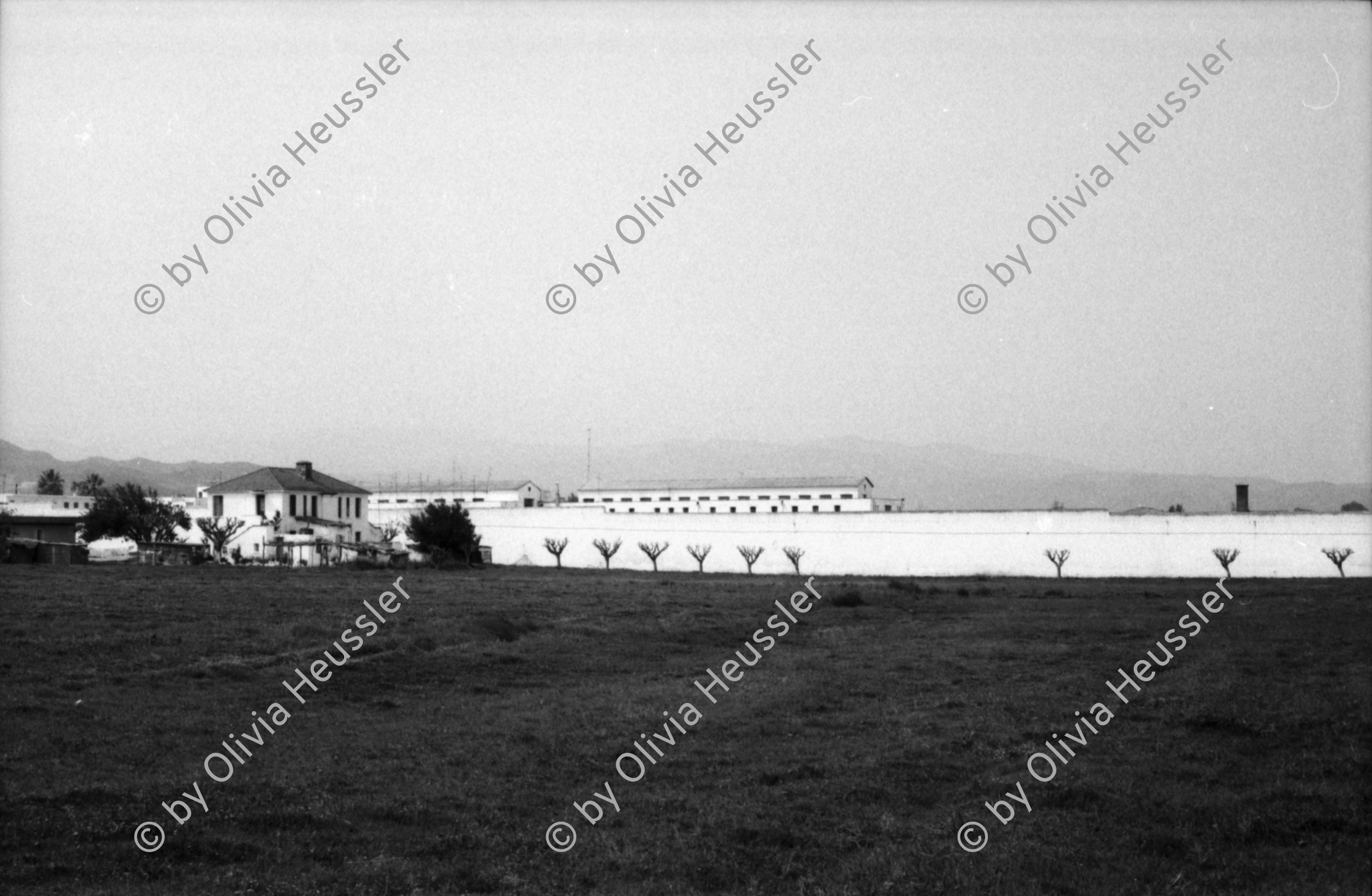 Image of sheet 19880350 photo 32: frtsg. 880340 Tassos Mutter Mara Cathy und Tassos Vater im Gewächshaus.  Alte Bäuerin in Schwarz Frauen an Bushaltestelle. Portrait Frau in Busshaltestelle. Am Buss. Meeresbucht von oben. altes Steinhaus. Portrait Daniela Venegoni und Tobias Eugster Hippie. Daniela mit vehülltem Kopf nackt am Strand. Dani und Tobias. Tobias. Gefängnis von Galatas. Mann grilliert Schaf. Kreta Griechenland 1988