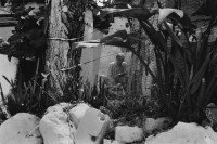 Image of sheet 19880350 photo 36: altes Steinhaus. von Galatas. Mann grilliert Schaf. Griechenland 1988 Ostern √
© 1988, OLIVIA HEUSSLER / WWW.CLIC.LI 

man grill animal sheep easter old house greek