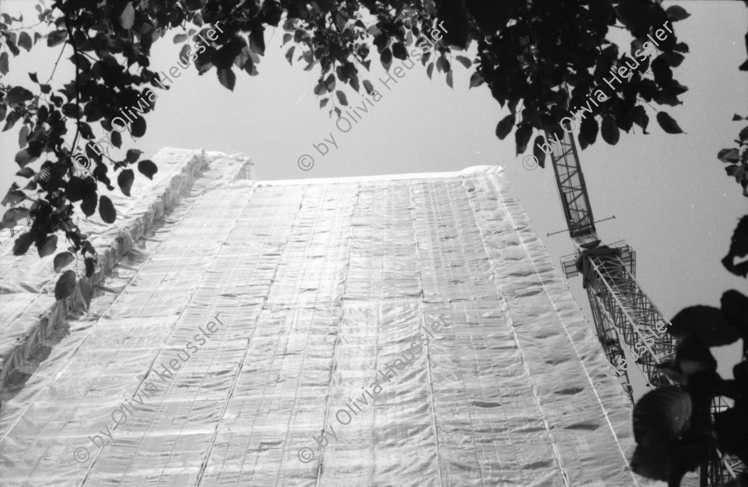 Image of sheet 19880420 photo 26: s