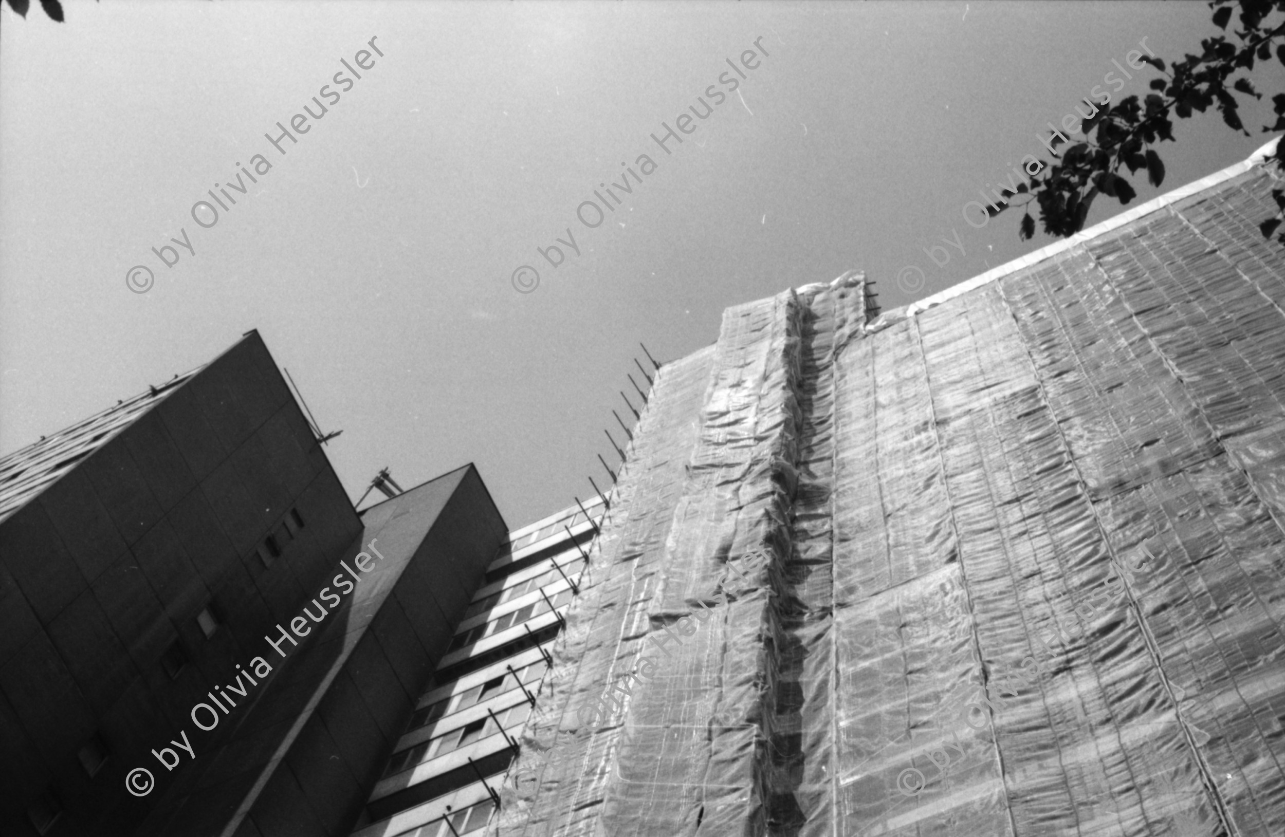 Image of sheet 19880420 photo 27: s