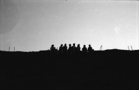 Image of sheet 19880430 photo 14: Konzert Sauvage in Genf mit Etat d'Urgences Babouches Folles 8-12 Laid Thenardier 17-25 und Karotte Kiri 26 -29. Personen als siluetten sitzen am Horizont. Morgenlicht. Frau Naima Wadimoff Nicolas cinema film music concert  1988 Geneva Suisse Switzerland Schweiz