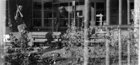 Image of sheet 19880653 photo 2: 1988 Erismannhof Kindergarten Garten Doppelbelichtung Malven Pflanzen Ausschnitt Schweiz Zürich Aussersihl Kreis vier 4 Switzerland Europe Housing √ housing 4 x 5 inch