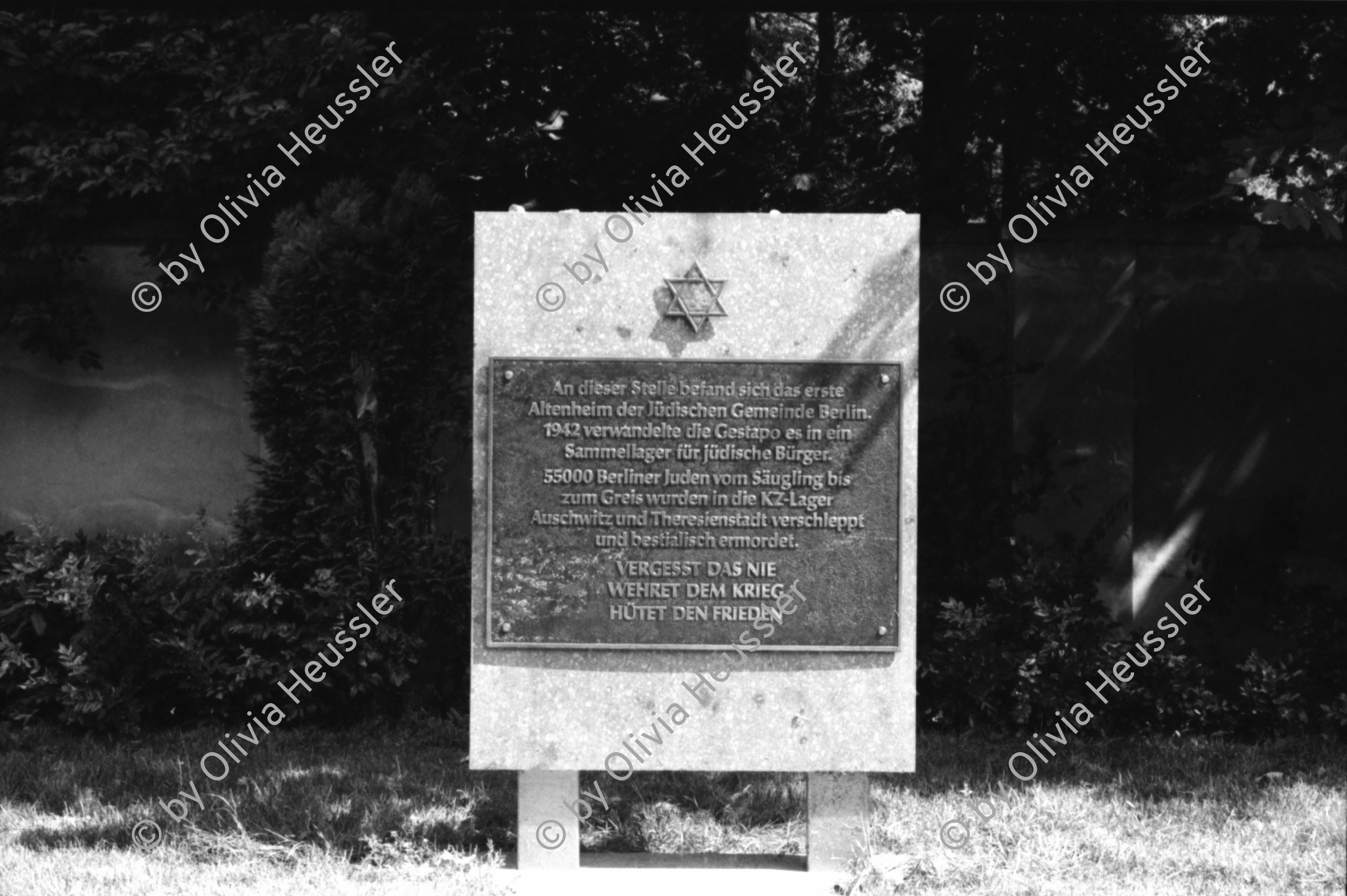 Image of sheet 19880692 photo 36: «Vergesst das Nie, Wehret den Krieg, Hütet den Frieden» steht an einer Gedenktafel im jüdischen Friedhof in Berlin, 1988.