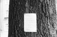 Image of sheet 19880694 photo 21: Für Fussgänger verboten. Signet. Es wurden Bäume gesetzt. Denkmal für den Arbeiterführer Ernst Thälmann in Berlin vor Wohn-Siedlung. Schaufenster für Fotoladen. Nochmal Galerie Weisser Elefant Elephant. Neubau Plattenelement Plattenbau Siedlung in Dresden. Mit Abfallsack im Vordergrund. Leere Strassen. Geschlossene Gaststätte. Sonntagszopf in Schaufenster einer Bäckerei. Entnahme verboten! Harasse gehören dem Staat. steht auf einem Plakat eines
Einkauf Ladens. Eine grosse Uhr ist auf einen Laden gemalt. Mann sitzt vor altem Wohnhaus. Dresden 1988 Ostdeutschland DDR GDR