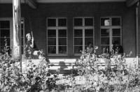 Image of sheet 19880695 photo 30: Kinder und Baby unter dem Dach des Kindergartens Erismannhof. Kavakli und Meine türkischen Nachbar Kinder. Zürich Schweiz 1988
