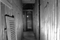 Image of sheet 19880741 photo 1: Europe housing