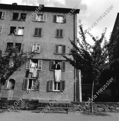 Image of sheet 19880800 photo 12: städtische Siedlung Erismannhof vor dem Umbau. Fassade Fenster mit Vorfenster Wäsche loundry window trees Bäume fensterläden 
 6 x 6 Hasselblad. 1988 Zürich √ Schweiz Aussersihl Wohnen housing Kreis vier Swiss Switzerland

© 1988, Olivia Heussler