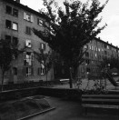 Image of sheet 19880800 photo 7: Kindergarten Erismannhof und Siedlung vor dem Umbau.
 6 6 Hasselblad. 1988 Zürich Schweiz Aussersihl Wohnen housing Kreis vier