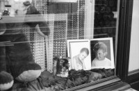 Image of sheet 19880810 photo 21: Ein fahrender ambulanter Verkäufer. Mann spritzt Gehsteig und behindert anderer. Kunst in Bern.Museum. Amtshaus besprayt mit: Theater Zutritt frei! Mutter und Kind im Snugli. Italienisches Evangelisches Zentrum. Schaufenster. Im Musseé de l'Elyseé quasselt unser Professor Urs Stahel (heutige Leiter des Fotomuseums in Winterthur) über Photographie. Nadia Anastasiu Peter Luem etc. Schüler von der 4 . Fotofachklasse. Portrait Urs Stahel.Portrait bei Jörg Huber. Der Nicaraguanische Bildhauer Aparicio Artola in Zürich. Portrait. 1988