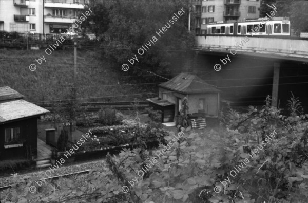 Image of sheet 19880830 photo 1: Schrebergärten zwischen (hinter) den Geleisen. Beim Güterbahnhof. Zürich 1988 Aussersihl Schweiz Suisse wohnen