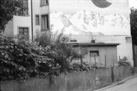 Image of sheet 19880830 photo 5: Stadtszenen und Bilder von Häusern Kreis 4 und 5 Die Isä Marie ? Eisen Marie ? auf ihrem Moped. (gest) Kein AKW über dem Hauptbahnhof HB-Südwest Nie! steht an der Zollstrasse Fussgänger Innen Unterführung Langstrasse. Konzert Sauvage in Winterthur. Olivia Selbstportrait Lebensgross. Schrebergärten zwischen (hinter) den Geleisen. Beim Güterbahnhof. Zürich 1988 Aussersihl Schweiz Suisse wohnen