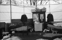 Image of sheet 19880860 photo 31: D