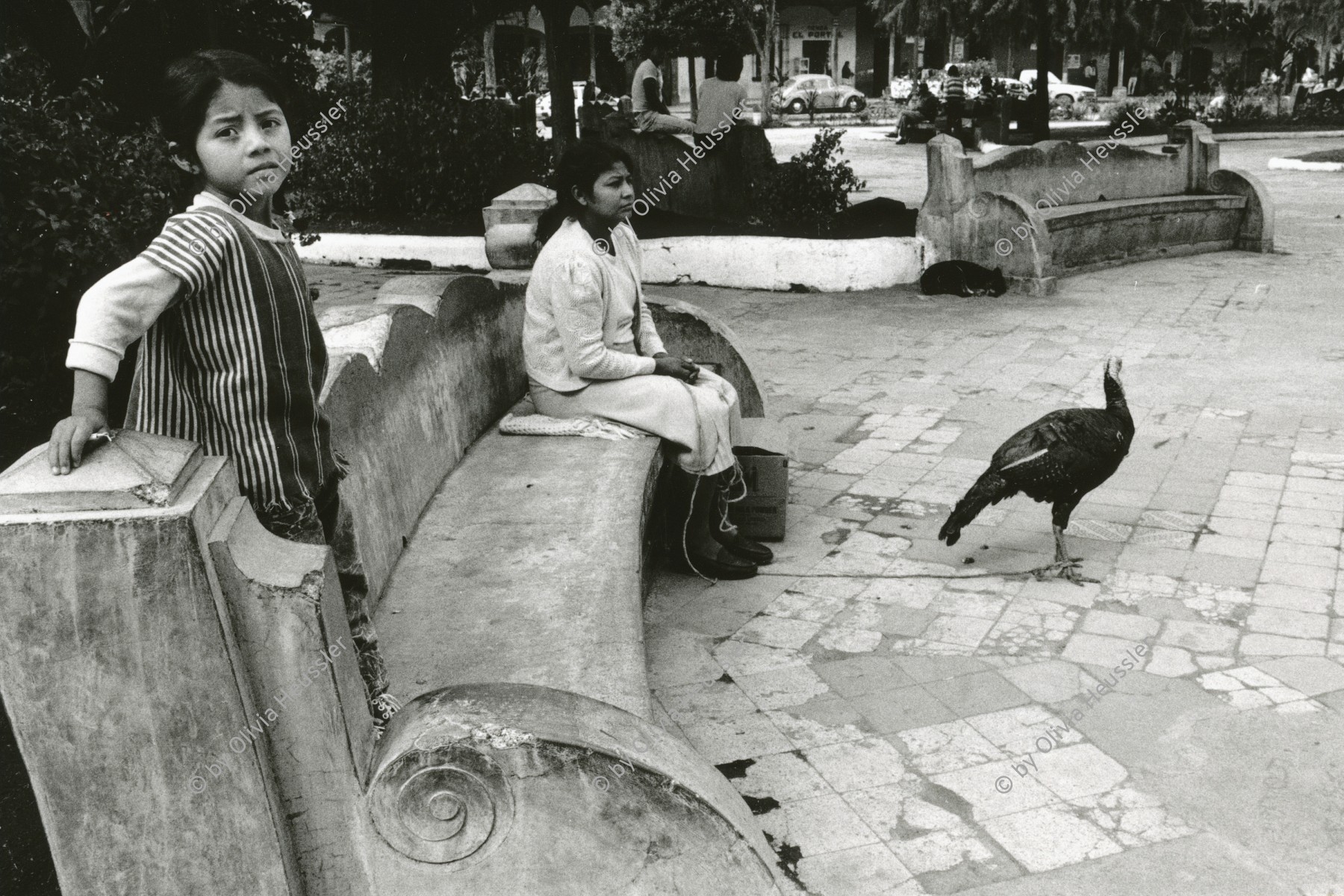 Image of sheet 19880890 photo 14: Mutter und Kind verkaufen ihren Truthahn. Antigua Guatemala 12.88 1988 √
Mother and Child sell their turkey woman women child girl animal market christmas