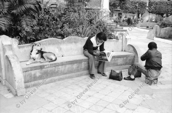 Image of sheet 19880890 photo 15: Ein Pflästerer. In der Strasse von Antigua. Seminar Fundes. Ohring und Brugger und Markus X Im Park verkauft eine junge Mutter ihren Truthahn, es ist bald Weihnacht. ihre Tochter sitzt auch da. Schuhputzer im Park. Szenen von Familien. Leute stehen bei der Bank in einer Schlange. Eine Frau bringt einen Kuchen. Elegante reiche Touristin mit grossen Hut. Indianer bestaunen Weisse Familie. Mann und Hund. Kaktus und Mann von Hinten auf Sitzbank. Guatemala 1988