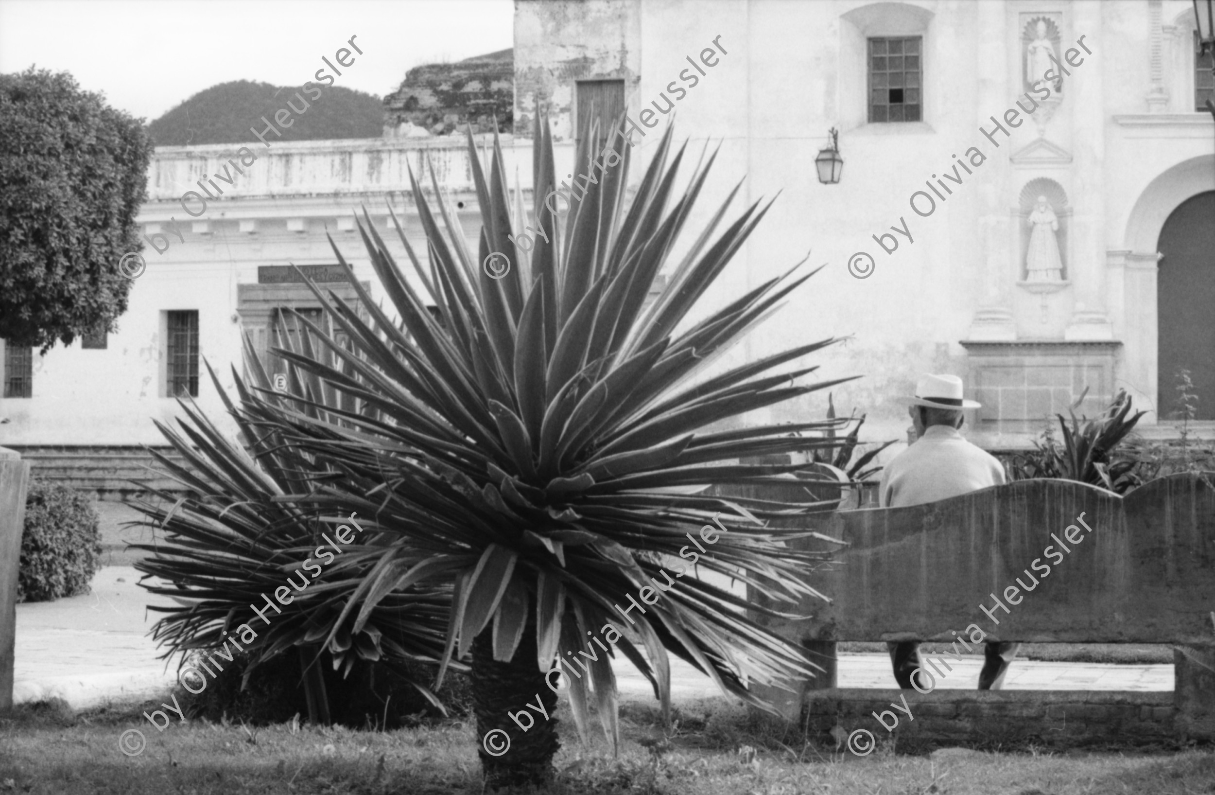 Image of sheet 19880890 photo 18: Ein Pflästerer. In der Strasse von Antigua. Seminar Fundes. Ohring und Brugger und Markus X Im Park verkauft eine junge Mutter ihren Truthahn, es ist bald Weihnacht. ihre Tochter sitzt auch da. Schuhputzer im Park. Szenen von Familien. Leute stehen bei der Bank in einer Schlange. Eine Frau bringt einen Kuchen. Elegante reiche Touristin mit grossen Hut. Indianer bestaunen Weisse Familie. Mann und Hund. Kaktus und Mann von Hinten auf Sitzbank. Guatemala 1988