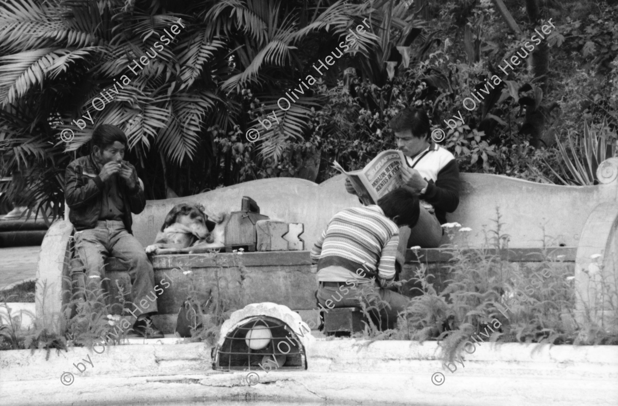 Image of sheet 19880890 photo 20: Ein Pflästerer. In der Strasse von Antigua. Seminar Fundes. Ohring und Brugger und Markus X Im Park verkauft eine junge Mutter ihren Truthahn, es ist bald Weihnacht. ihre Tochter sitzt auch da. Schuhputzer im Park. Szenen von Familien. Leute stehen bei der Bank in einer Schlange. Eine Frau bringt einen Kuchen. Elegante reiche Touristin mit grossen Hut. Indianer bestaunen Weisse Familie. Mann und Hund. Kaktus und Mann von Hinten auf Sitzbank. Guatemala 1988