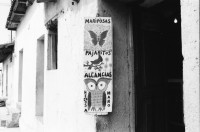 Image of sheet 19880900 photo 33: fr