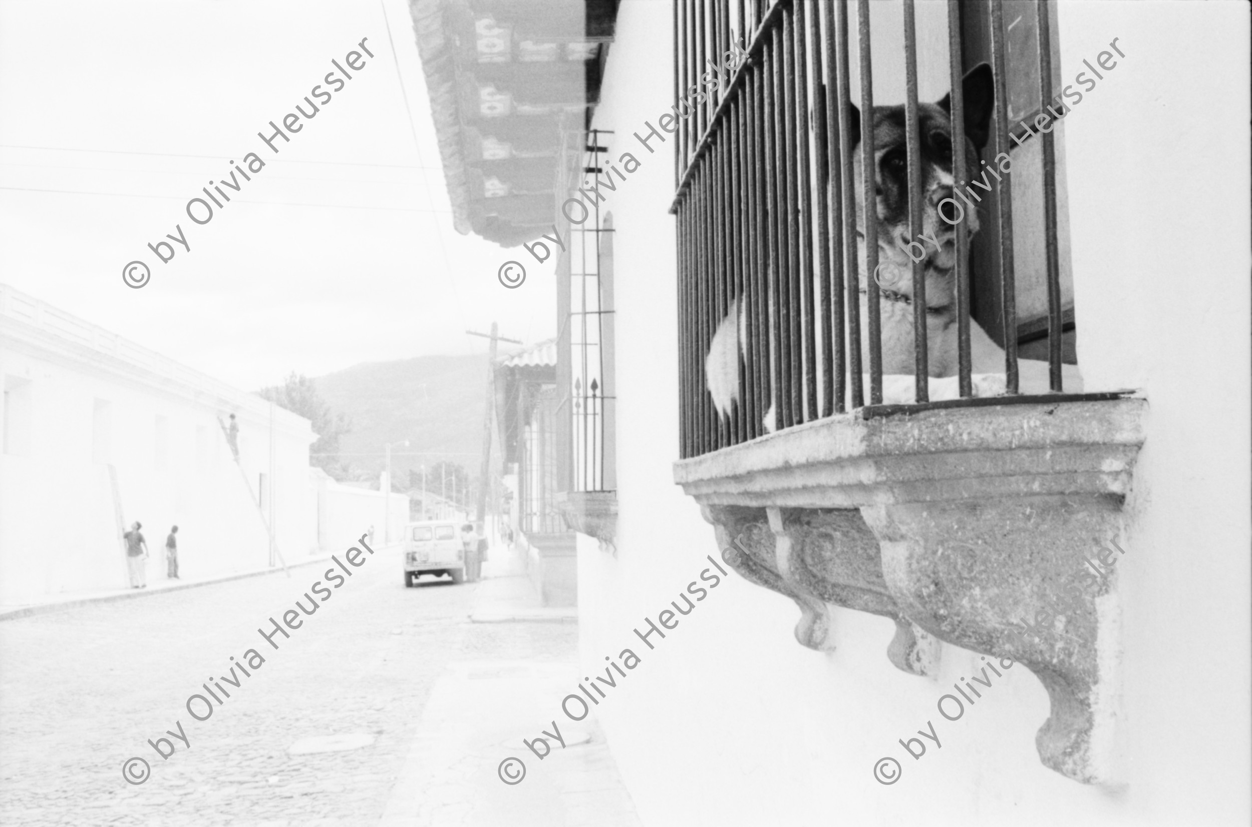 Image of sheet 19880900 photo 6: frtsg. 880890 Seminar FUNDES in Antigua. Hund sitzt auf Balkon. Frau auf der Strasse. Pflastersteinstrasse. Kind verkauft Kinderspielzeuge. Kirchen Eingang. Alte Frau bettelt. Familie kommt aus Kirche. Kirche wird saniert. Bethlehem Wandteppich hängt in Kirche. Mann putzt Kanzel. Pflanzen werden transportiert. Im Hotel Antigua. Guatemala 1988