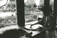 Image of sheet 19880910 photo 2: Nordamerikanische Touristen lernen wie man Tortillas macht. Eine Indianische Indigena Hotelangestellte zeigt wie. 1988 Guatemala √