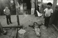 Image of sheet 19880920 photo 0: © 1988, Olivia Heussler/www.clic.li
Diese Kinder können die Schule nicht besuchen. Hier spielen sie den Tod. Guatemala 1988 √
boy death play street children child