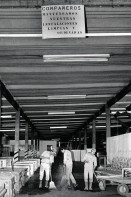 Image of sheet 19880950 photo 26: In der Duralita. Eternit tochter. Halle. aufgeschichtete Eternit Welldächer. Fabrik Asbest Guatemala 1988 √