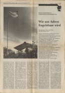 Image of sheet 19880970 photo 15: WOZ