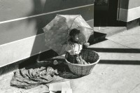 Image of sheet 19880990 photo 21: © 1988, Olivia Heussler/www.clic.li
Kinderarbeit 
Guatemala City Stadt kleines Mädchen sitzt  am Markt in einem Korb unter einem Regenschirm Sonnenschirm 1988 √
girl work street market