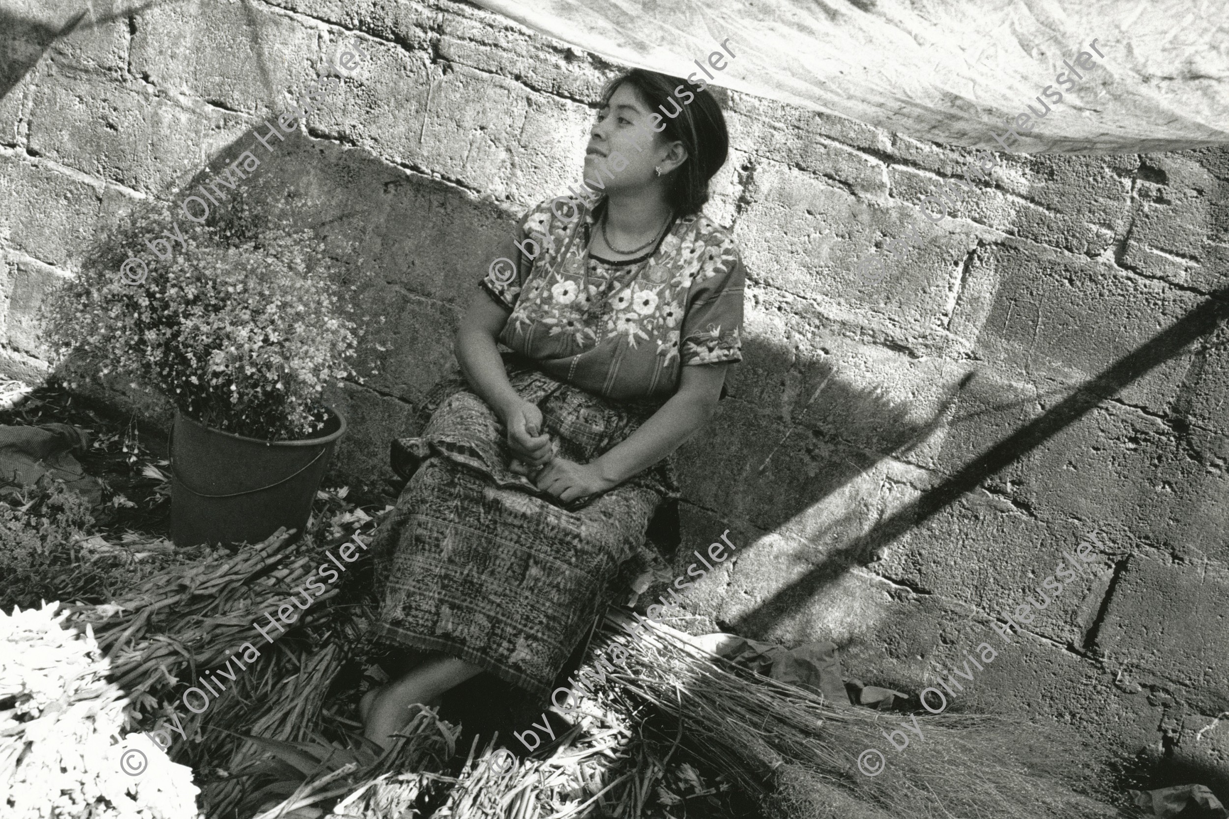 Image of sheet 19880990 photo 22: © 1988, Olivia Heussler/www.clic.li
Eine junge Bäuerin Campesina Indigena verkauft Blumen und Kräuter auf dem Markt. Guatemala City 12.88 1988 √