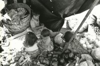 Image of sheet 19880990 photo 23: © 1988, Olivia Heussler/www.clic.li
Kinder am Markt. Stadt Kinderarbeit Guatemala City 1988 √
Street kids selling on the market. Guatemala City 12.88