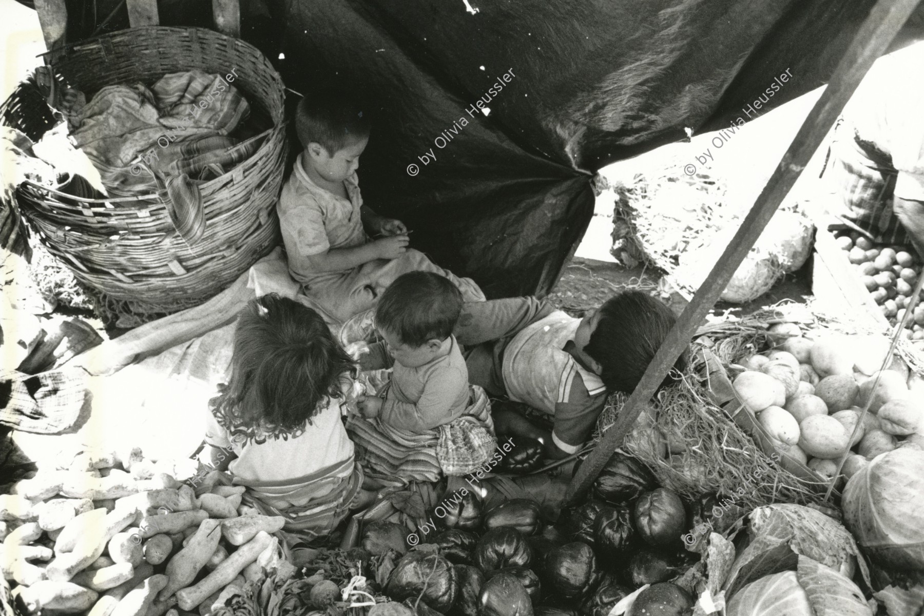 Image of sheet 19880990 photo 23: © 1988, Olivia Heussler/www.clic.li
Kinder am Markt. Stadt Kinderarbeit Guatemala City 1988 √
Street kids selling on the market. Guatemala City 12.88