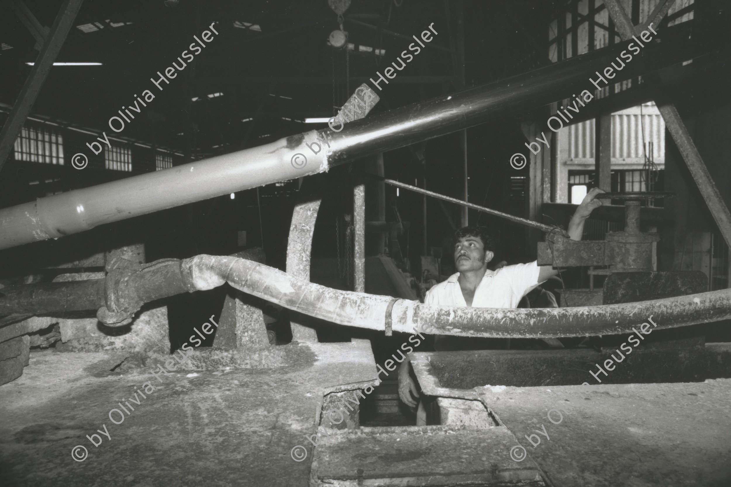 Image of sheet 19881030 photo 14: In der Eternit Fabrik 'Nicalit' in Nicaragua wird noch mit asbest gearbeitet. 1988 √

Asbesthaltige Produkte fuer den Gartenbau, am 19. Dezember 1988 in der Nicalit Asbest-Fabrik in San Rafael del Sur in Nicaragua, Zentralamerika. Die Nicalit gehoert zum Schmidheiny-Konzern, der weltweit in verschiedenen Fabriken Produkte mit Asbestfasern herstellt. Jahre danach sind viele ehemalige Asbest-Arbeiter an Asbestose erkrankt, einer Krankheit die durch die Asbestfasern ausgeloest wird. Die wenigsten dieser Arbeiter erhielten Entschaedigungen, nachdem die gesundheitsschaedigenden Eigensschaften von Asbest bekannt wurden, die meisten sind ihrer Krankheit
Arbeiter in der Nicalit-Fabrik. Eine Eternit Tochter, Schmidheinys heutige Holcim, produzierte ausschliesslich aus Geldmangel noch mit Asbest. Die Arbeiter während ihrer Arbeit. Nicaragua libre San Raffael del Sur 1988 √

Für: Besichtigung der Hinterhöfe/rpv WOZ