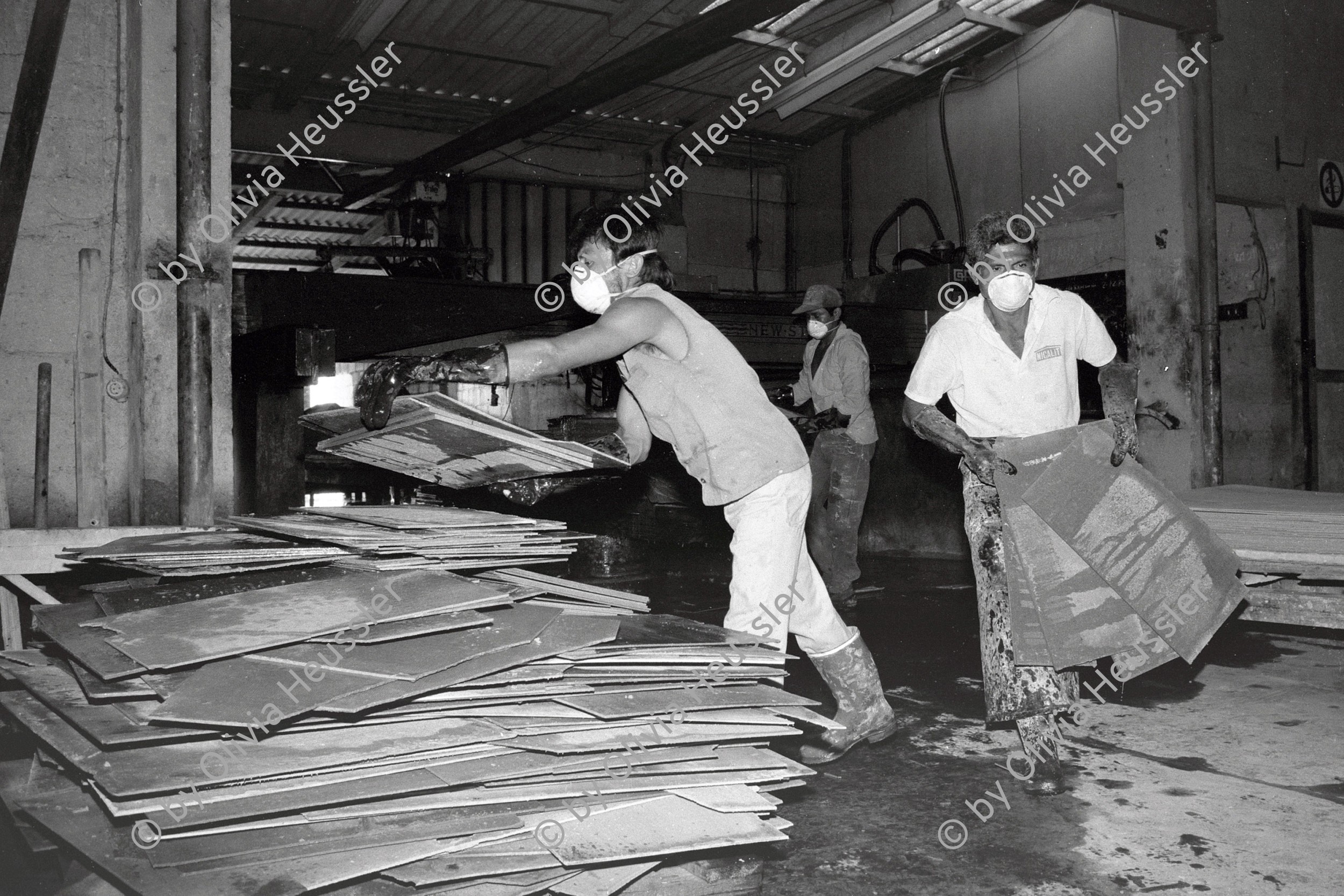 Image of sheet 19881030 photo 28: In der Eternit Fabrik 'Nicalit' in Nicaragua wird noch mit asbest gearbeitet. 1988 √

Asbesthaltige Produkte fuer den Gartenbau, am 19. Dezember 1988 in der Nicalit Asbest-Fabrik in San Rafael del Sur in Nicaragua, Zentralamerika. Die Nicalit gehoert zum Schmidheiny-Konzern, der weltweit in verschiedenen Fabriken Produkte mit Asbestfasern herstellt. Jahre danach sind viele ehemalige Asbest-Arbeiter an Asbestose erkrankt, einer Krankheit die durch die Asbestfasern ausgeloest wird. Die wenigsten dieser Arbeiter erhielten Entschaedigungen, nachdem die gesundheitsschaedigenden Eigensschaften von Asbest bekannt wurden, die meisten sind ihrer KrankheitReportage über die Produktion von mit Asbest produziertem und mit neuer Technologie hergestellem Material bei der damaligen Schmidheiny Tochter Nicalit in San Rafael del Sur.
Viele der ArbeiterInnen leben heute nicht mehr, das sie ohne Schutz gearbeitet haben.