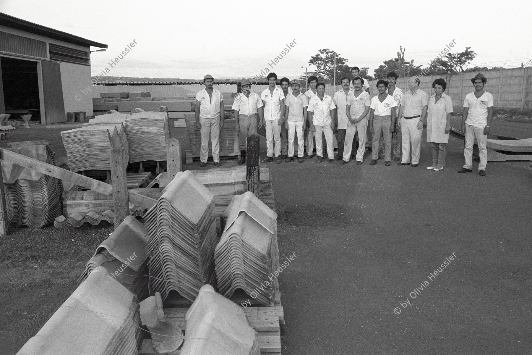 Image of sheet 19881050 photo 8: In der Eternit Fabrik 'Nicalit' in Nicaragua wird noch mit asbest gearbeitet. 1988 √

Asbesthaltige Produkte fuer den Gartenbau, am 19. Dezember 1988 in der Nicalit Asbest-Fabrik in San Rafael del Sur in Nicaragua, Zentralamerika. Die Nicalit gehoert zum Schmidheiny-Konzern, der weltweit in verschiedenen Fabriken Produkte mit Asbestfasern herstellt. Jahre danach sind viele ehemalige Asbest-Arbeiter an Asbestose erkrankt, einer Krankheit die durch die Asbestfasern ausgeloest wird. Die wenigsten dieser Arbeiter erhielten Entschaedigungen, nachdem die gesundheitsschaedigenden Eigensschaften von Asbest bekannt wurden, die meisten sind ihrer Krankheit
Reportage über die Produktion von mit Asbest produziertem und mit neuer Technologie hergestellem Material bei der damaligen Schmidheiny Tochter Nicalit in San Rafael del Sur.
Viele der ArbeiterInnen leben heute nicht mehr, das sie ohne Schutz gearbeitet haben.