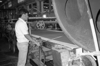 Image of sheet 19881060 photo 5: Reportage über die Produktion von mit Asbest produziertem und mit neuer Technologie hergestellem Material bei der damaligen Schmidheiny Tochter Nicalit in San Rafael del Sur.
Viele der ArbeiterInnen leben heute nicht mehr, das sie ohne Schutz gearbeitet haben.
