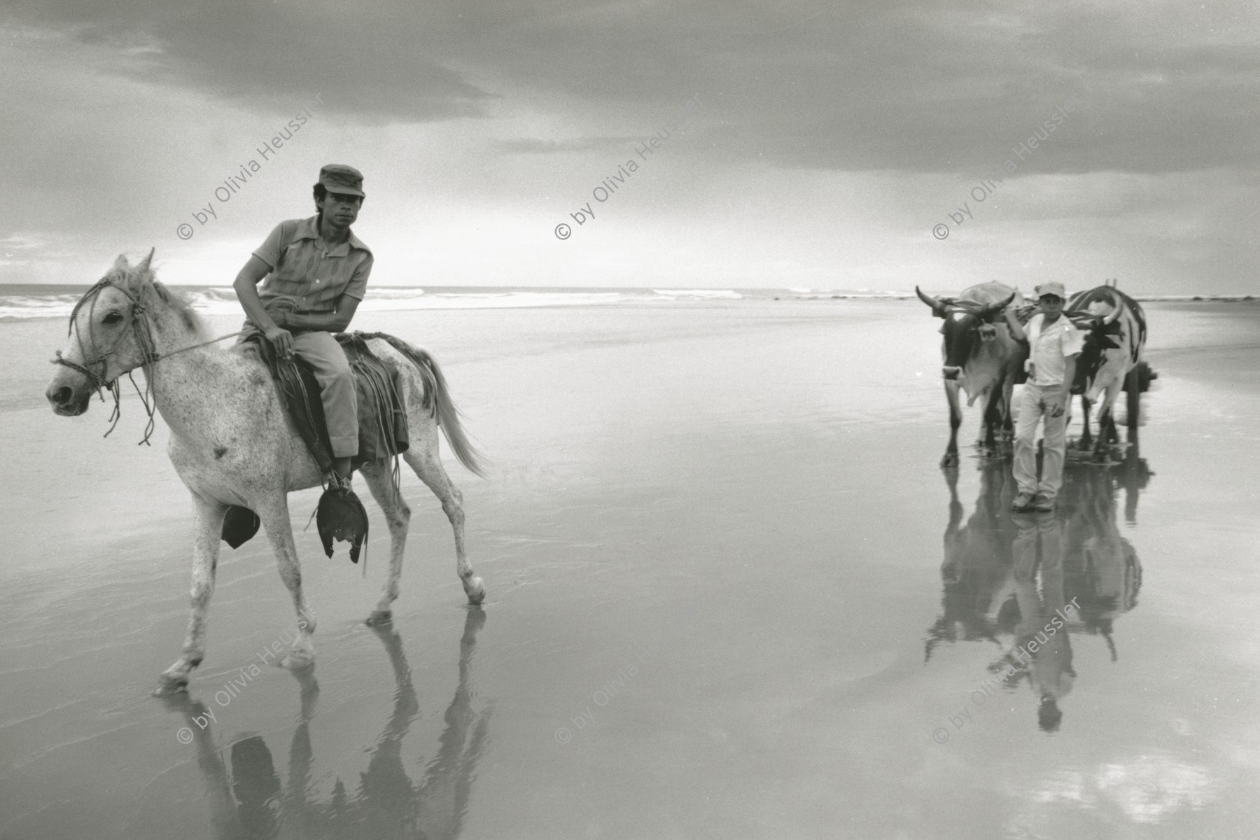 Image of sheet 19881080 photo 17: Ochsengespann am Meer. (unscharf). Strand am Pazifik. Ochsenwagen Rosswagen Pferdewagen Pferde Ochsengespann am Meer. La Boquita Nicaragua 1988 √