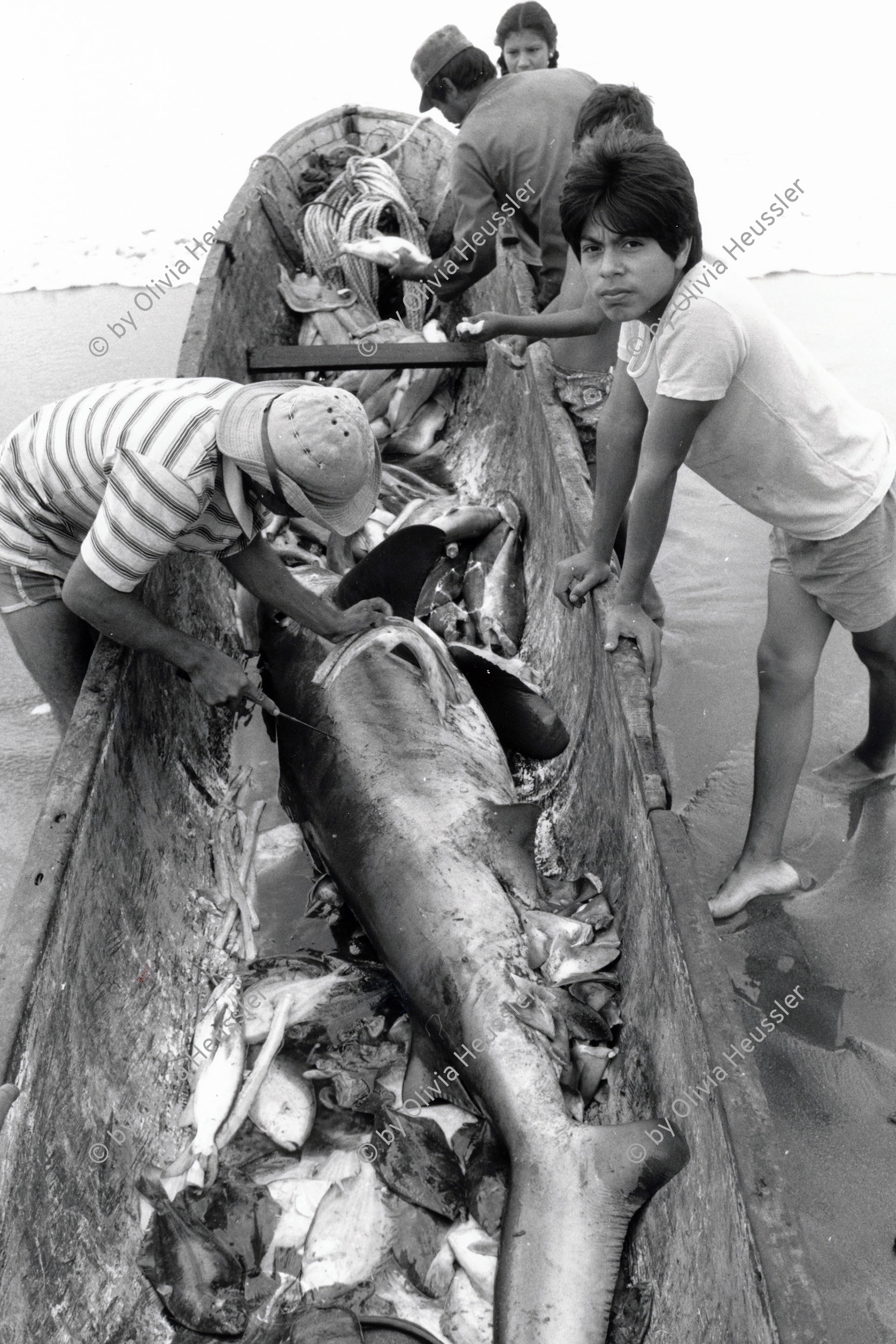 Image of sheet 19881080 photo 32: Auch in Nicaragua wird der Hai für seine Flossen gejagt. Er ist am aussterben. Nicaragua. 1988 √ Pazifikküste La Boquita Haifischflossen Flossen Haifisch Fischerei

Kids waiting to get a peace of fresh fish out of the pacific sea. the fin of the shark in front already has been taken away for export to japan. sharks are in danger. La Boquita,  Nicaragua 1988