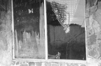 Image of sheet 19881100 photo 2: Erdbeben