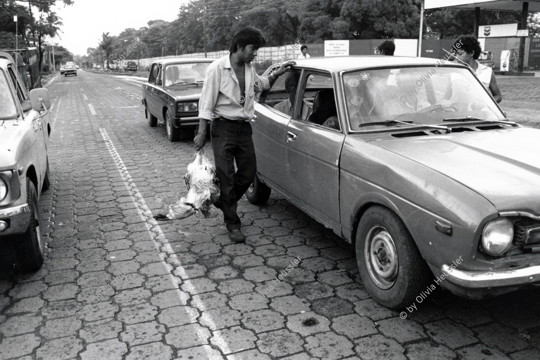 Image of sheet 19881100 photo 29: Dieser Mann verkauft sein Lebendes Huhn lebendiges Geflügel am Stoppsignal den wartenden Fahrzeughaltern Autofahrer. Nicaragua 1988 √ Adoquines chicken for sale arbeit work man
© 1988, by OLIVIA HEUSSLER / www.clic.li