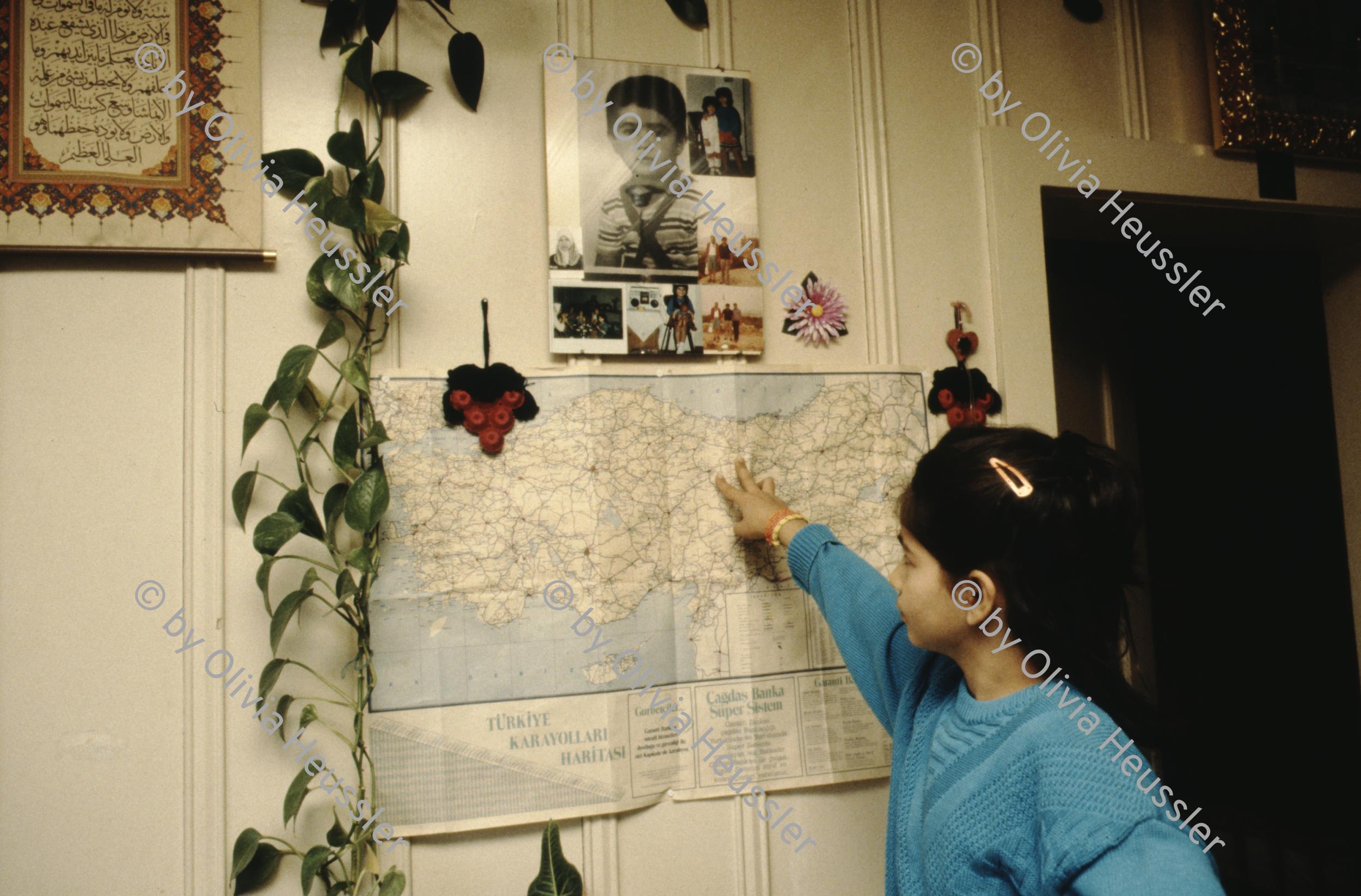 Image of sheet 19883000 photo 172: d