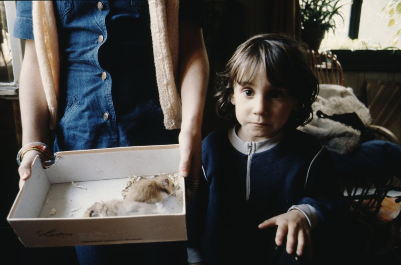 Image of sheet 19883000 photo 200: t