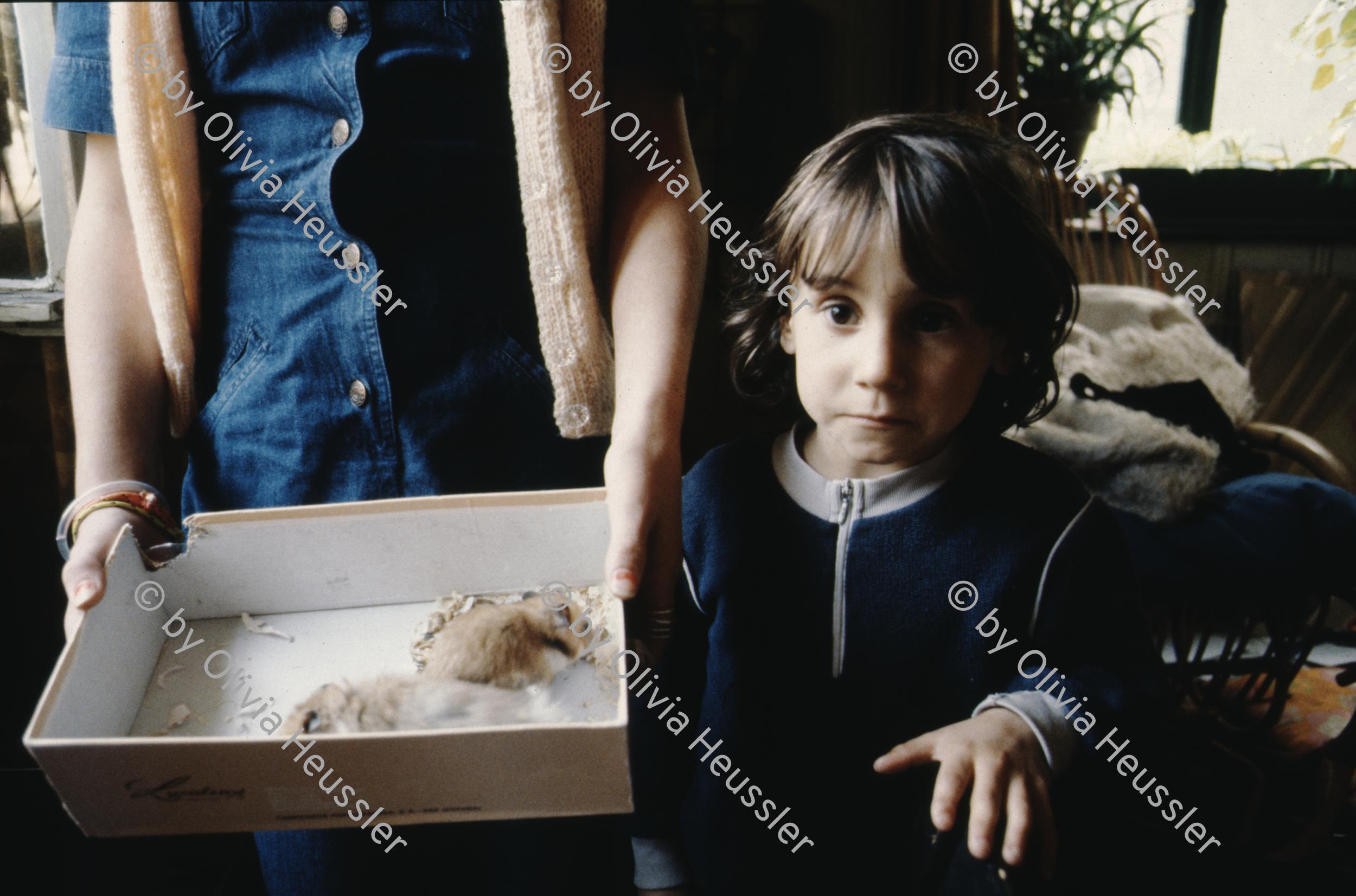 Image of sheet 19883000 photo 200: t