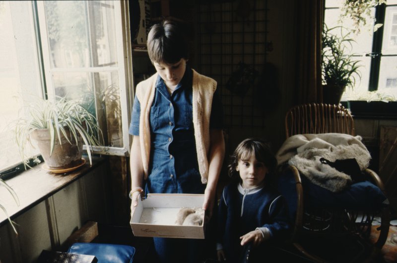 Image of sheet 19883000 photo 219: Kuscheltiere in Karton Schachtel