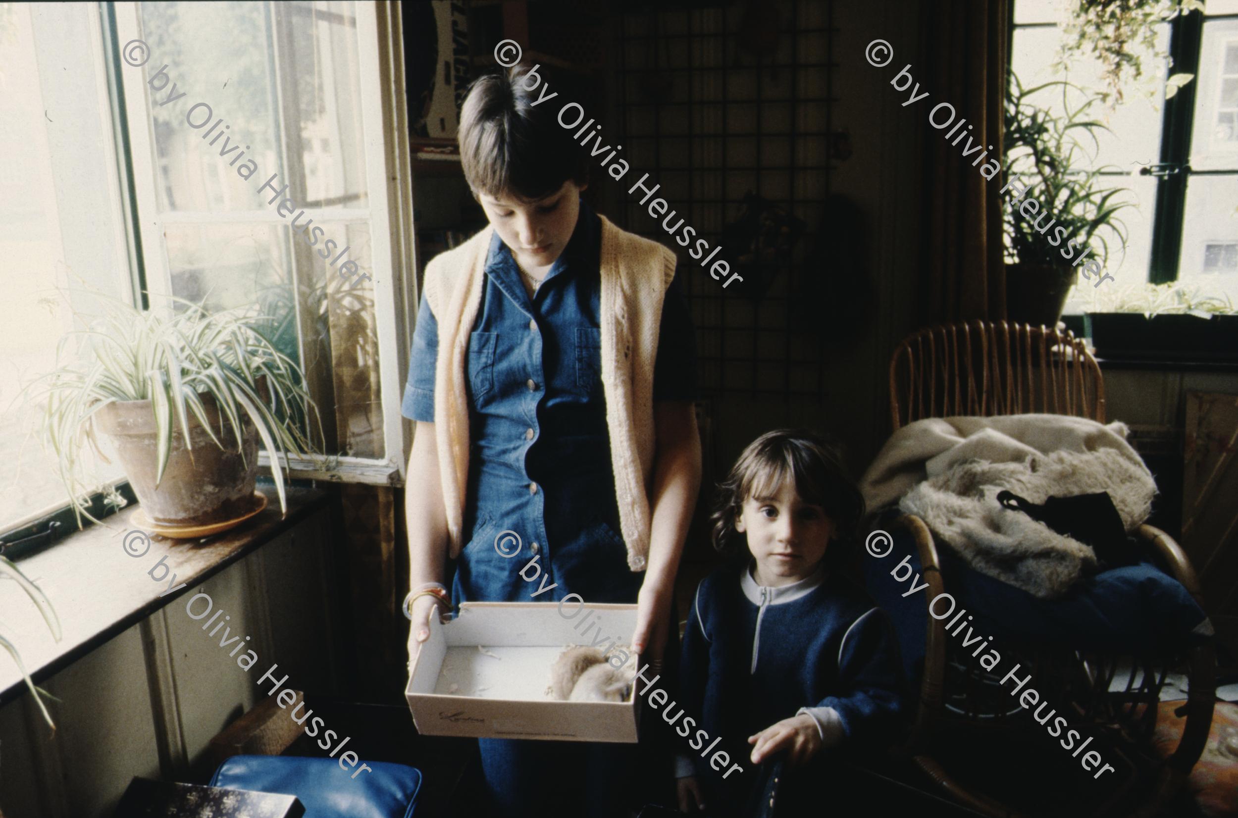 Image of sheet 19883000 photo 219: Kuscheltiere in Karton Schachtel