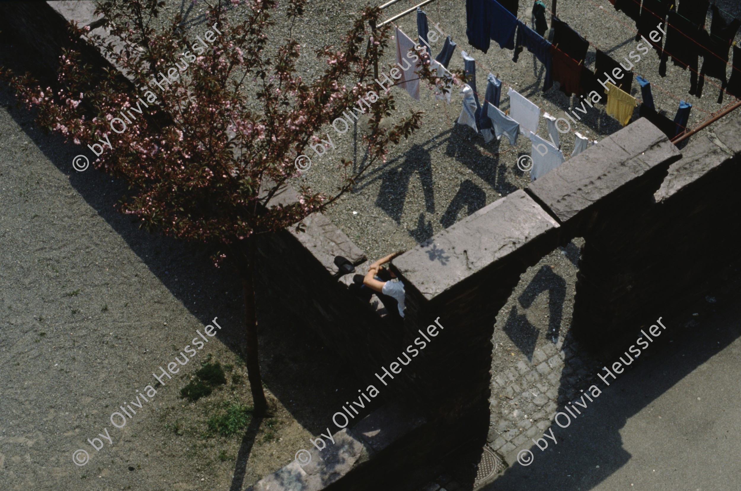 Image of sheet 19883000 photo 52: Erismannhof
